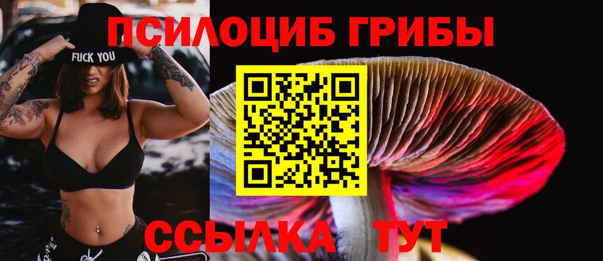 Галлюциногенные грибы MAGIC MUSHROOMS Красноярск