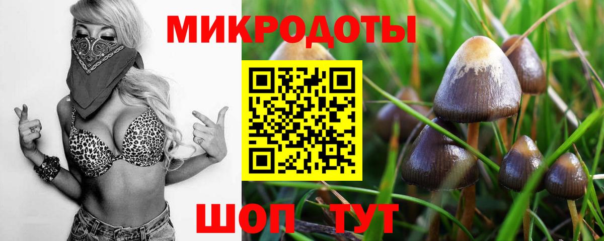 Псилоцибиновые грибы GOLDEN TEACHER  закладка  Псилоцибиновые грибы Magic Shrooms  Красноярск  Вход с VPN 